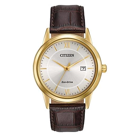 CITIZEN Men's Eco-Drive Classic Watch in Gold-Tone Stainless Steel with Brown Leather Strap, Champagne Dial (Model: AW1232-04A)