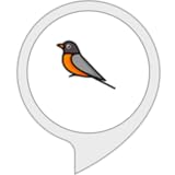 Erbacci LTD