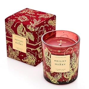 M&SENSE Holiady Scented Candle Gift for Women and Men - Cinnamon Scent, 10 oz Soy Wax, Birthday Gift,Holiday Gift,Christmas Gift,New Year Gift MSENSE Holiady Scented Candle Gift for Women and Men Cinnamon Scent 10 oz Soy Wax Birthday GiftHoliday GiftChristmas GiftNew Year Gift