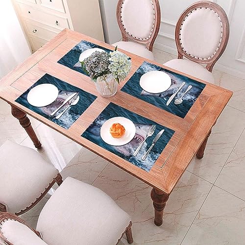 Set de table requin résistant à la chaleur pour protéger votre table en bois