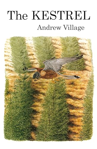 The Kestrel view 2