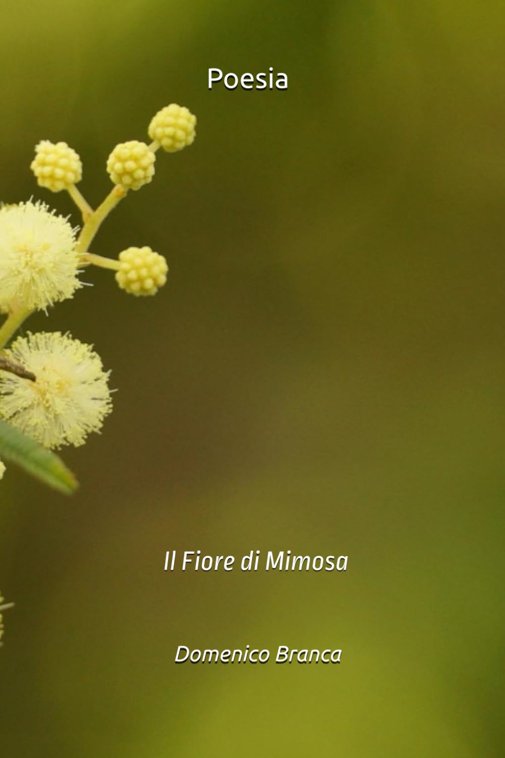 Poesia: Il Fiore di Mimosa