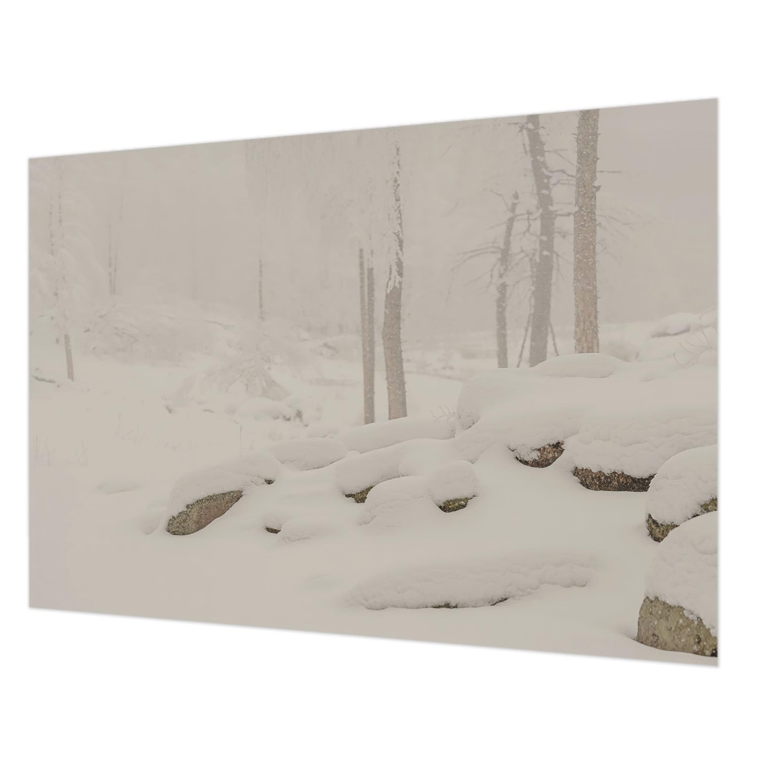 Papier peint forêt enneigée 312x219 cm pour décoration salon