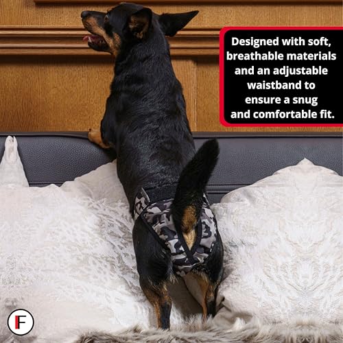 Image of FINNERO Brenda Reusable Dog Diaper, Leak-Proof, Adjustable, Heat & Incontinence Protection, L - Gray