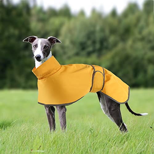 Windhund-Regenmantel, leicht, Whippet-Mäntel, wasserdicht, Windhundmäntel, wasserdicht, Whippet-Regenmantel, Windhund-Sommer-Winter-Regenmantel, Hundemäntel für Lurcher für mittelgroße und große Hunde