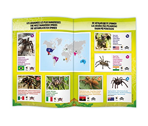 Nature Mygale Radiocommandée - vue 5