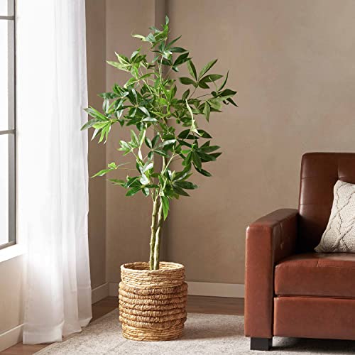 roomfitters Tall Artificial Money Tree in Black Pot, Faux Indoor
