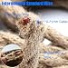 GreenSun LED Lighting Cable de cuerda de 10M 2 núcleos, 0,75 mm²,...
