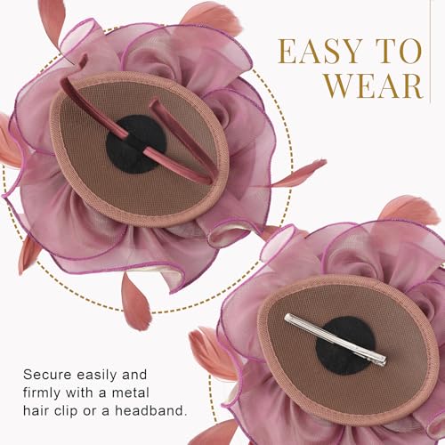 Image of DRESHOW Fascinators Hat Tea Party Headwear Ribbons Feathers on a Headband and a Clip for Women