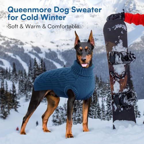 Queenmore Dackel Hundepullover, Gestrickter Rollkragen Hundepulli für Rüden & Hündinnen, für Jack Russell, Bulldog Corgi, Franz. Bulldogge, Mops (Blau, M)
