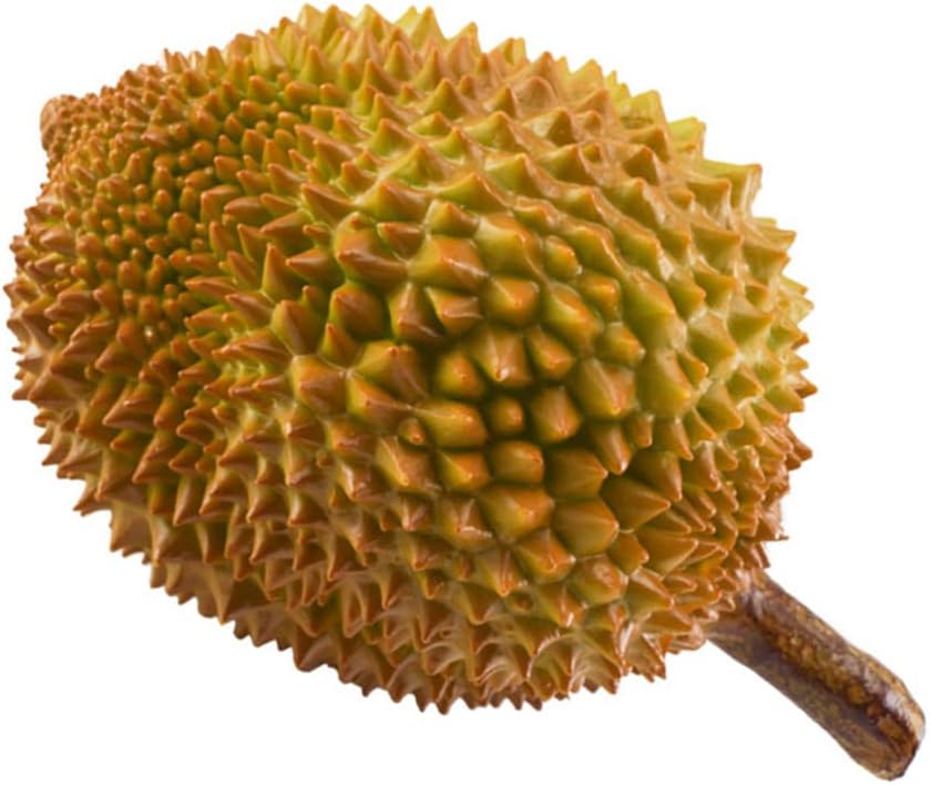 Gadpiparty Artificial Durian Fruit Ornament Fake Fruit Decor for Home Kitchen Table Photo Prop and Educational Display Realistic Imitation Durian 9.84 X 5.90 X 5.90 in