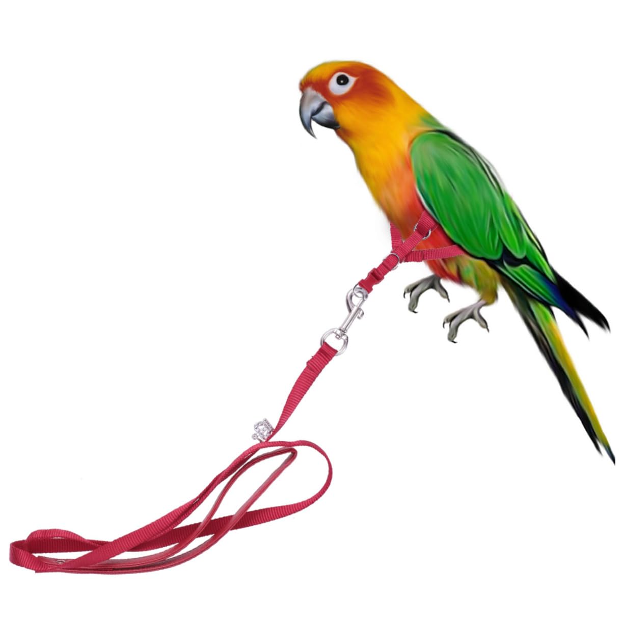 Abaodam Adjustable Parrot Harness with Leash for Outdoor Walking Red Design Easy Installation Parrot Accessories for