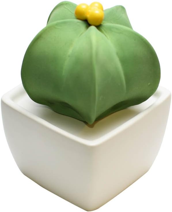 Aroma Space Lively Breeze Ceramic Fragrance Diffuser - Star Cactus