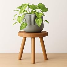 Kundi Multifunctional Plant Stand - Modern Home Decor, Wood Planter Holder for Flower Pots, For Living Room Bedroom Balcony Indoor and Outdoor - Kids Stool-(Natural)