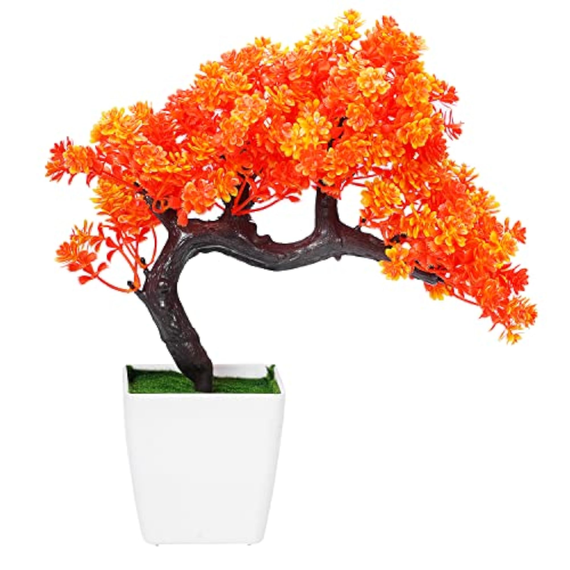 Colourful Wild Bonsai Plants With Pot for Home Decor