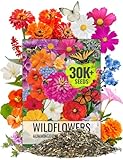Seed Needs Wildflower Seeds Butterfly and Hummingbird Seed Mix 2 Ounce No Filler | 23 Varieties Annual & Perennial Species Such as Butterfly Milkweed, Cosmos & Zinnia | Resealable Bulk Package
