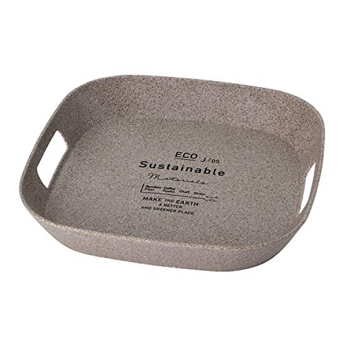 SPICE OF LIFE サスティナブル エコトレイ BENIGN ブラウン Lサイズ 39.5cm TBGF1033BR