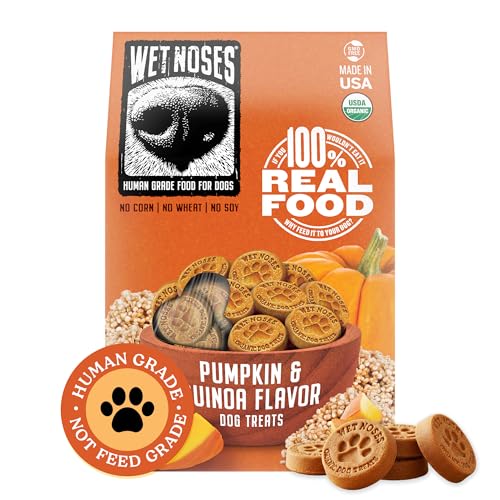 Wet Noses Organic Crunchy Dog Treats – All-Natural, Human-Grade, Non-GMO, Healthy Training & Delicious Snacks for Dogs, for All Dog Sizes & Breeds – Pumpkin & Quinoa, 14oz (Single Pack)