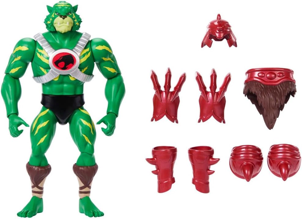 Masters of the Universe Origins & Thundercats...