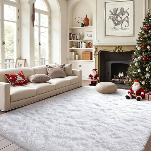 FinRèc White Rugs for Bedroom Living Room, 4x6 Feet Fluffy