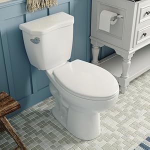 DeerValley Two Piece Elongated Toilet ADA 179 High Toilet for Bathrooms 1000g Map High Efficiency 12 Rough In