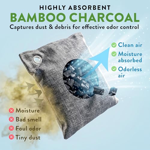 Image of Charcoal Odor Absorber for Strong Odor (6 Pack, 100g each), Bamboo Charcoal Air Purifying Bag, Basement Musty Odor Eliminator Deodorizer, Activated Charcoal Odor Absorber for Closet, Shoe, Car