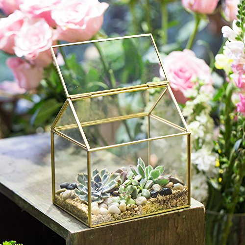 Ncyp Small 6.1X6.3X4.33 Inches Handmade Glass Terrarium With Swing Lid, Tabletop Decor Clear Planter, Gold House Shape Flower Pot For Plants Succulents, Diy Centerpiece (No Plants) #TOP5