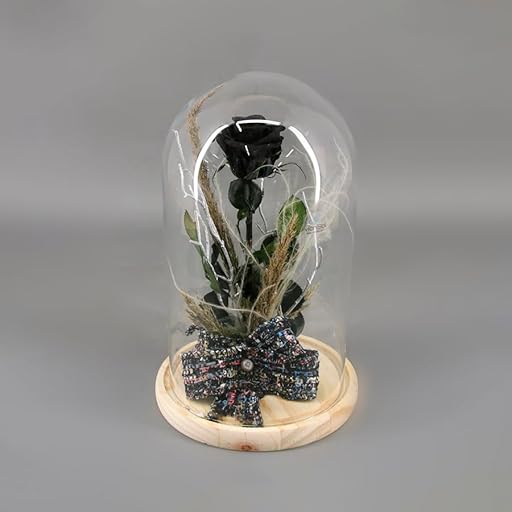 Floranet Rosa Eterna Preservada Negra en Cúpula de Cristal (26cm) – Replica La Bella y la Bestia – Regalo Romántico para San Valentín, Sant Jordi y Día de la Madre | Ya disponible en tu tienda friki favorita! En mundofriki.es!