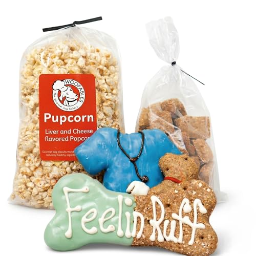 Woofables Gourmet Dog Bakery Small Get Well Soon Treat Box with Pupcorn, Hand-Decorated Treats & More | Homemade, Fresh, Human-Grade, All-Natural Ingredients | Corn, Soy & Preservative Free | USA Made