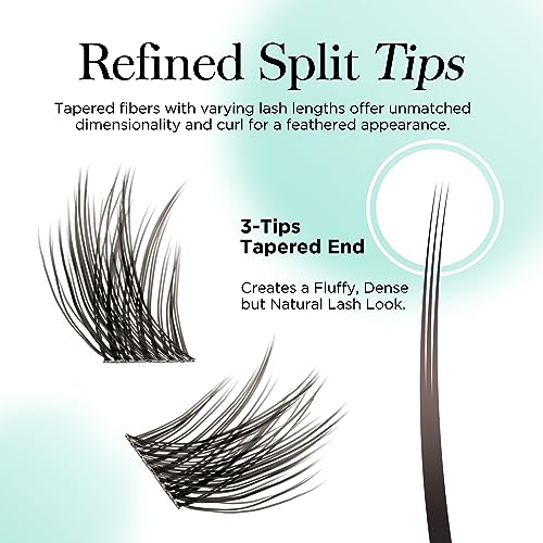 BEYELIAN Lash Clusters 60 Pcs 10-16mm Individual Cluster Lashes False Eyelashes Extension, Cherish-C - Image 2