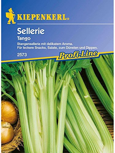 Was Ist Der Unterschied Zwischen Bleichsellerie Und Staudensellerie Sellerie: Knollen-, Schnitt- & Staudensellerie unterscheiden