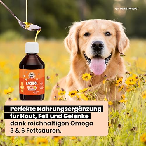 Wahre Tierliebe Lachsöl aus 100% atlantischem Lachs I Fischöl mit Reichhaltigen Omega 3 & 6 Fettsäuren als Perfekte Nahrungsergänzung, Made in Germany