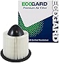 ECOGARD XA4878 Premium Engine Air Filter Fits Ford F-150 1997-2008, Expedition 1997-2004, E-350 1999-2019, F-250 Super Duty 1999-2004, E-250, Mustang 1996-2004, E-150 2003-2014