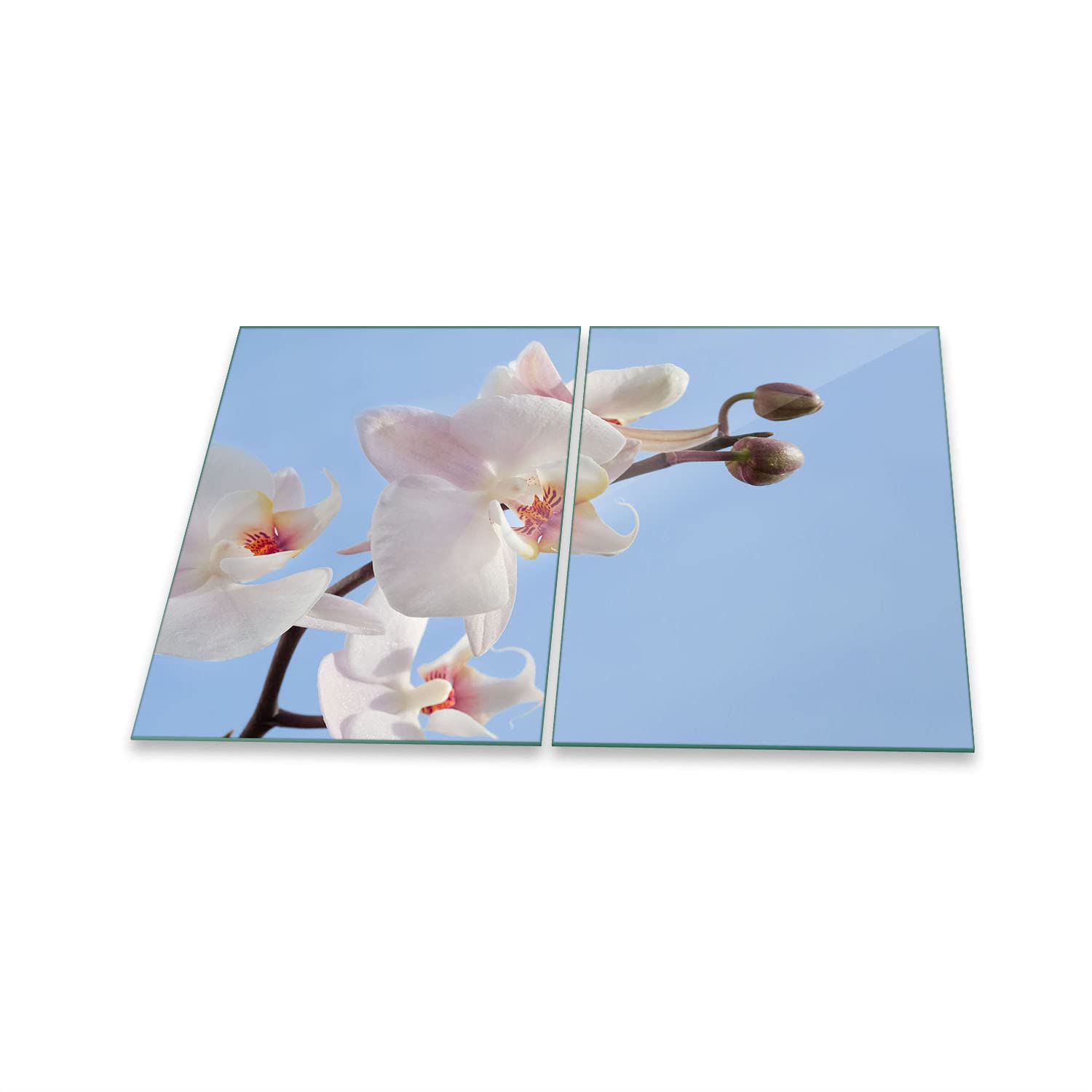 Placa para Cubrir la vitrocerámica, 2 Piezas, 2 x 40 x 52, diseño de Flores, Color Blanco, para inducción
