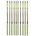 Dasco Pro 667 Caution Pole Driveway Marker with Caution Tape Clip and Reflective Tape, Green/Yellow