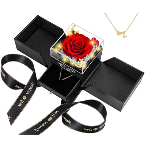 MoKasi Preserved Red Real Rose with Necklace Cover
