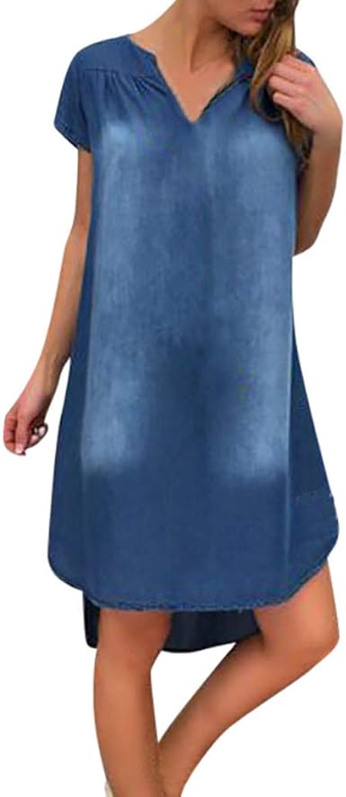 velvet embroidered dress