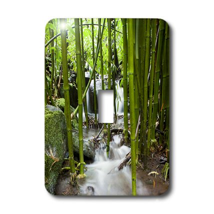 Interrupteur simple décoratif forêt bambou pour rénover vos murs