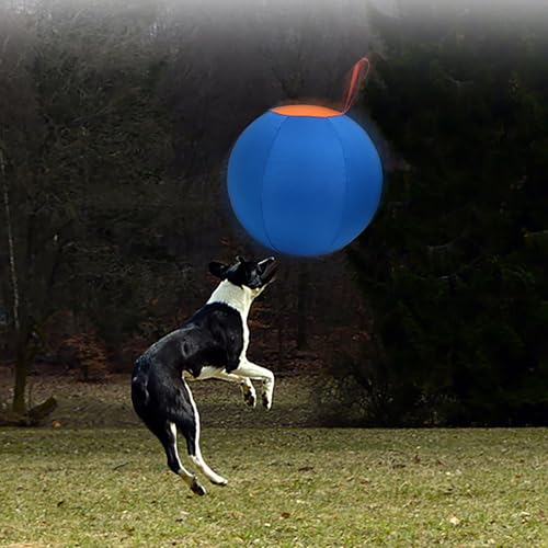 Herding Ball Für Hunde, 17.7 Zoll Aufblasbarer Großer Hischball Für Mittlere Und Große Rassen, Selbstunterhaltender Trainingsball Für Haustiere, Kompatibel Mit Hirten, Viehhunden, Pferdspiel