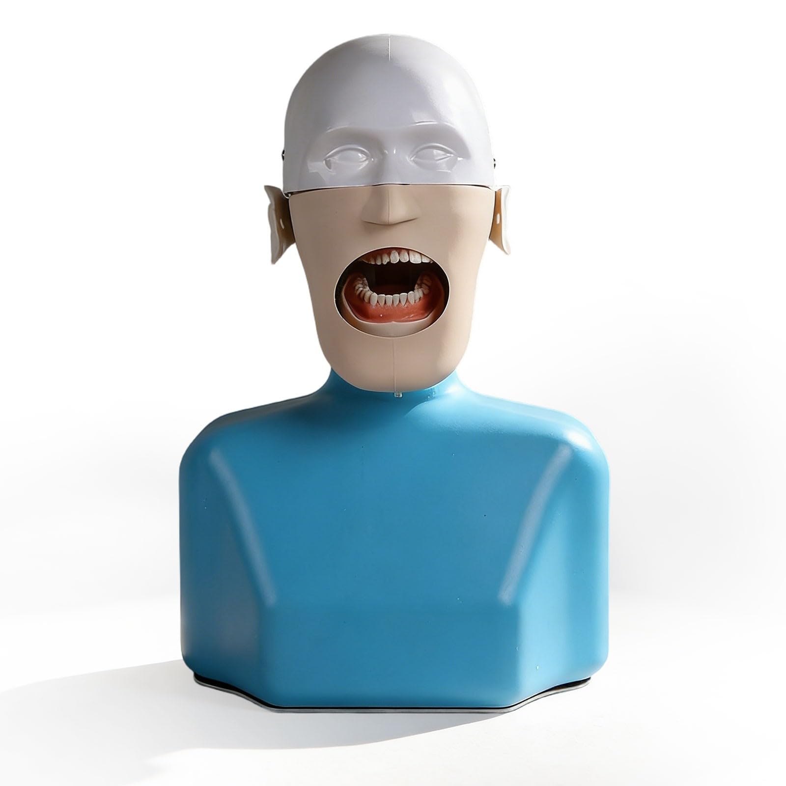 Symulator stomatologiczny manekina głowa fantomowa model edukacyjny z 28 odłączanymi zębami, narzędzie do praktyki dentystycznej, idealny do treningu stomatologicznego i rozwoju umiejętności