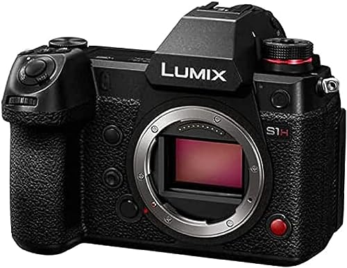 Panasonic Lumix DC S1HE K Cámara Sin Espejo, Grabación De Vídeo 6K con Pantalla Abatible (Captura De Imagen Completa, Grabación Interna 4:2:2 De 10 bits, Sólo Cuerpo De Cámara, Negro)