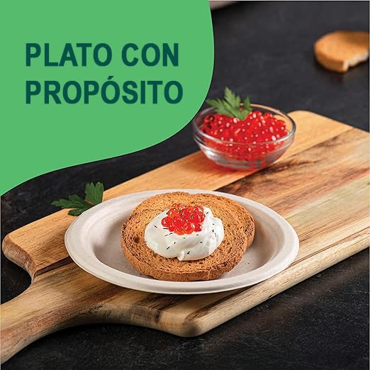 Consejos para Comprar Platos de carton favoritos de las personas. 24 Imagen adicional