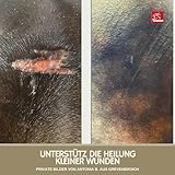 Zinksalbe Pferd Hund 0,25ml Wund Zink Salbe bei Wunder Haut mit Zinkoxid I Wund- Und Heilsalbe für Hunde Katzen Tiere I Wundsalbe | Wundheil Zink Creme zur Unterstützung der Heilung Wunden Juckreiz