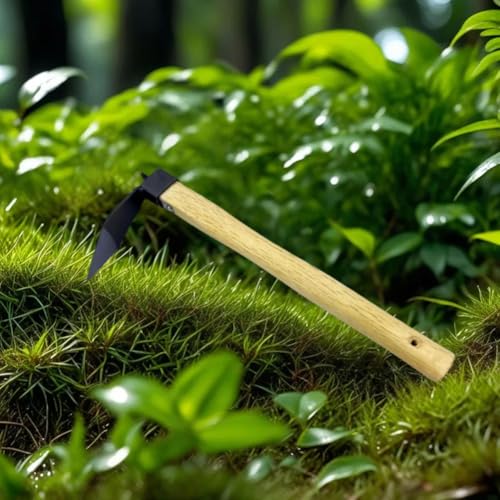 Azada de acero carbono para jardín mano miniatura 6