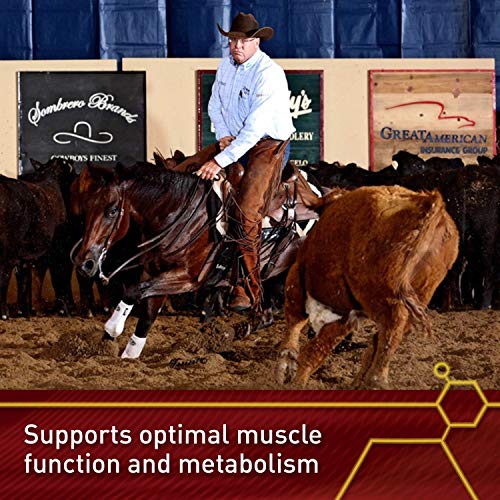 Vita Flex, 12 Count, Lactanase Performance Supplement Packets for Horses, Supports Healthy Muscle Function