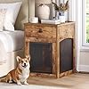 HOOBRO Dog Crate Furniture, Dog Kennel with Drawer and Charging Station, Indoor Decorative Puppy House, Wooden Pet Crate End Table for Small Dogs, Rustic Brown and Black BF58UGW03G1