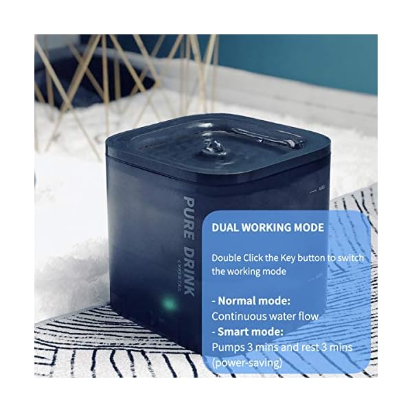 Pet Water Fountain for Small Dogs