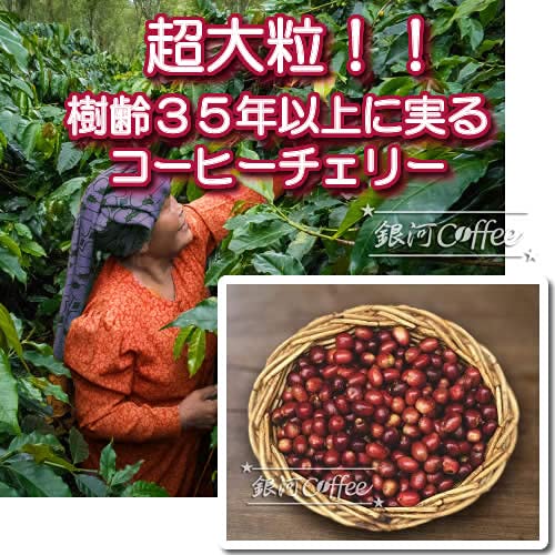 銀河コーヒー マンデリン コーヒー粉 150g