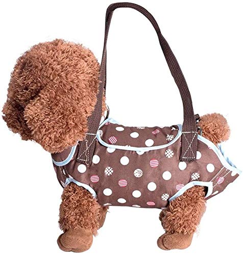 Salir portátil transpirable mochila mascota Pet porta for gatos cachorros conejito