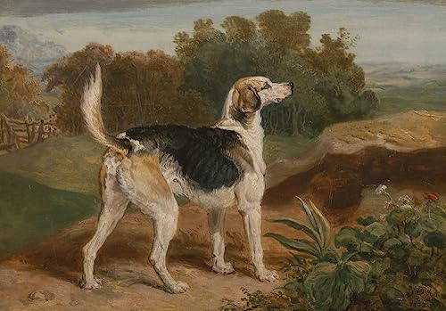 Cuadro de lienzo Ravager de los Lambton Hounds obra de arte famoso decorativo 60x90cm